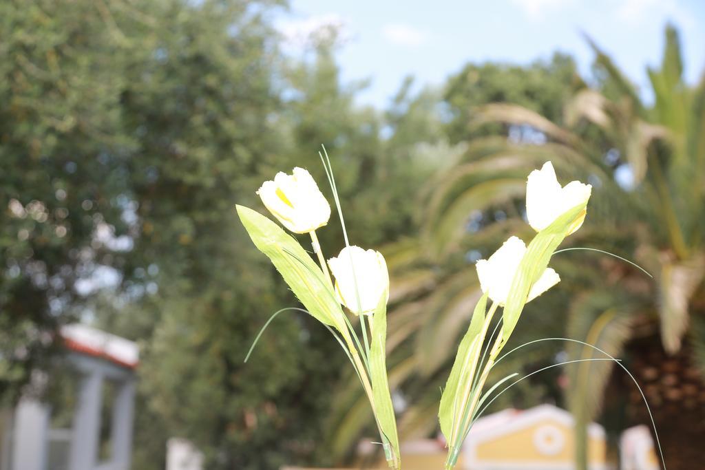 Sea Sun Aparthotel Plomari Luaran gambar